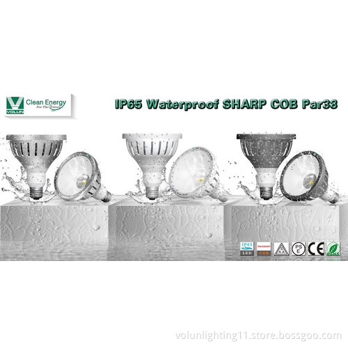 :Dimmable SAA UL PSE CE Outdoor LED Par38 lamp